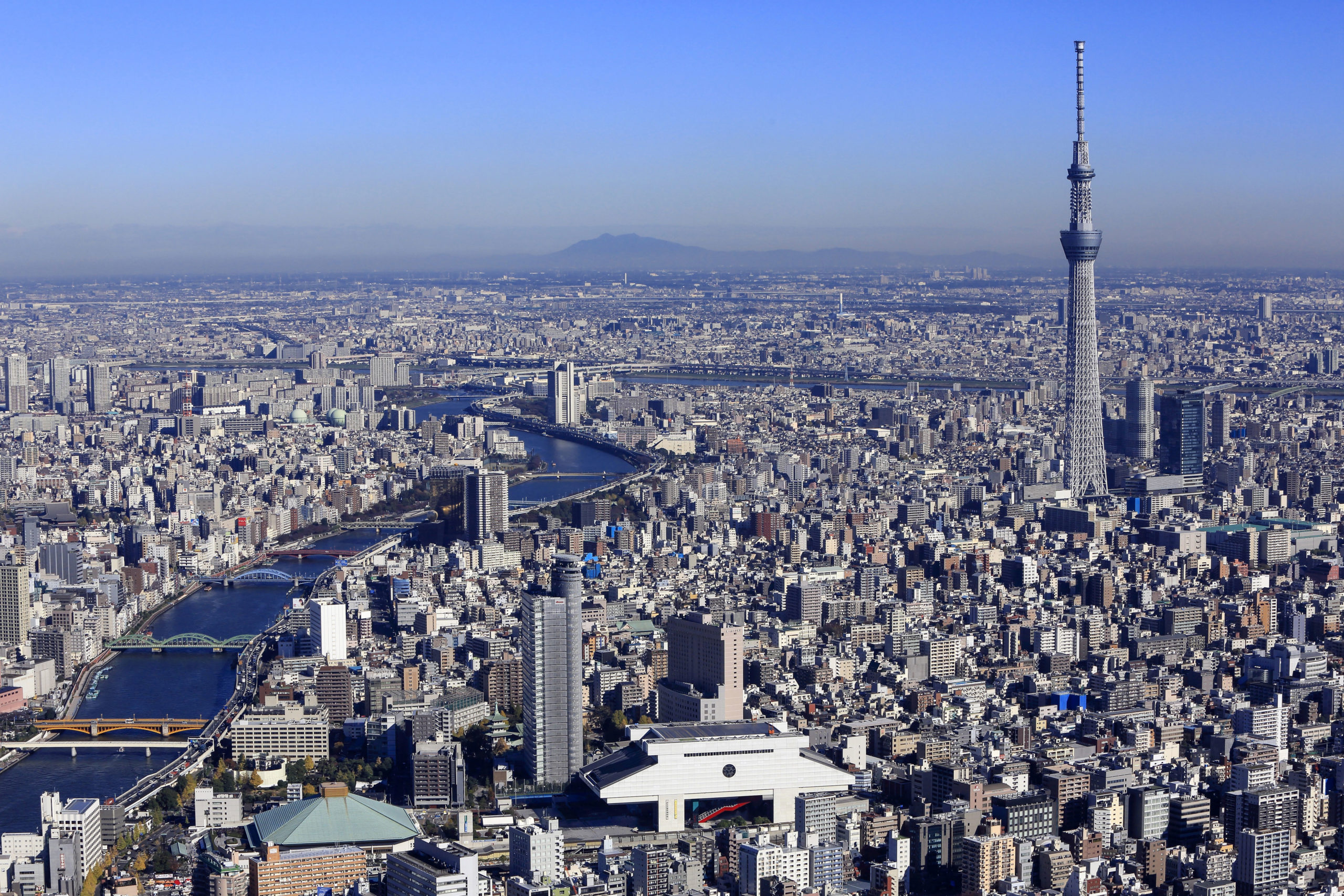 イクレイ日本会員 東京都 Iclei Japan